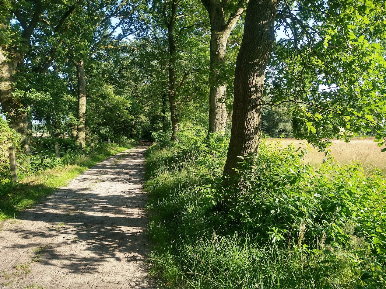 buiten